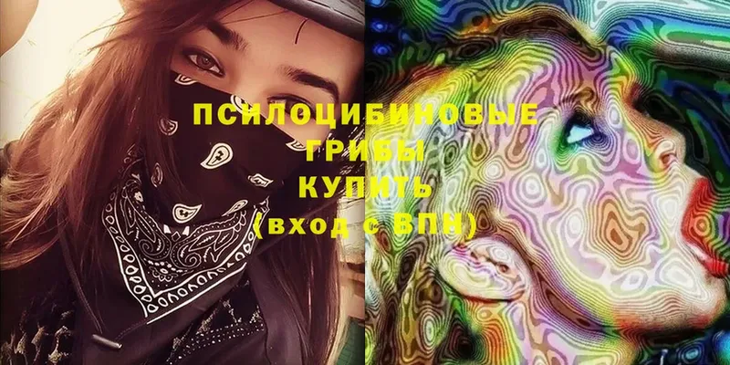 Псилоцибиновые грибы Magic Shrooms  купить  цена  Новоульяновск 